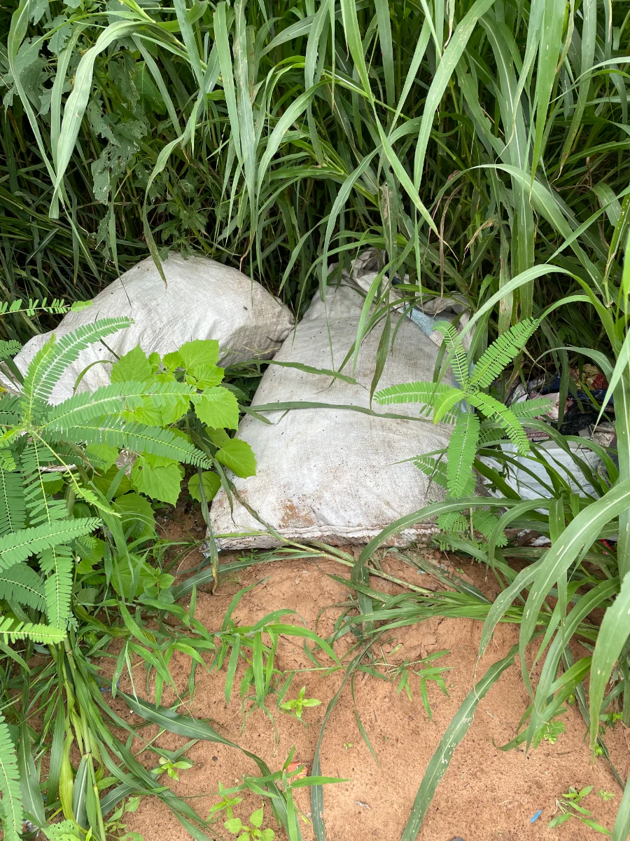 Chemin de campagne, Keur Gondé, décharge sauvage