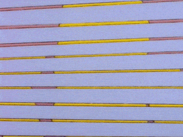 PermaForo - Dessins de presse... À bas les longs discours !